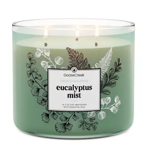 Eucalyptus Mist Odor Eliminating 3-Wick Candle