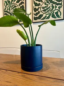 Blue Ceramic Pot