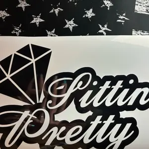Sittin pretty 11.5 inch vinyl vehicle decal Stylish Car Merch