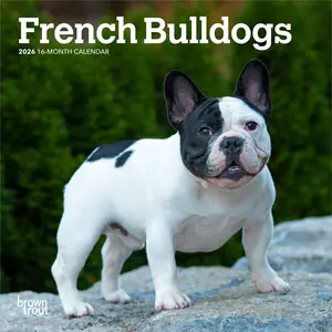 French Bulldogs | 2026 7 x 14 Inch (Hanging) Monthly Mini Wall Calendar | BrownTrout | Animals Dog Breeds