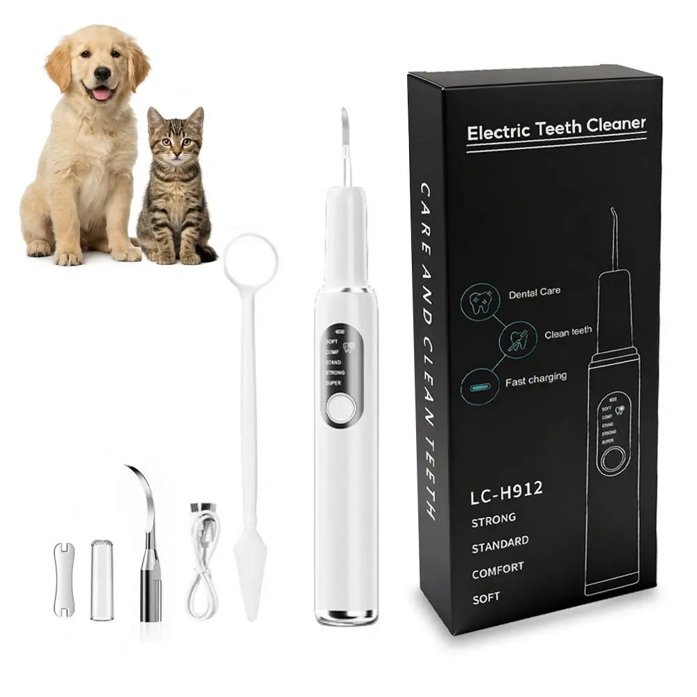 Electric Tartar Remover and Plaque Scraper, Portable Oral Care Kit for Dental Cleaning with LED Light, 5 Modes, and 2 Replaceable Heads for Adults
