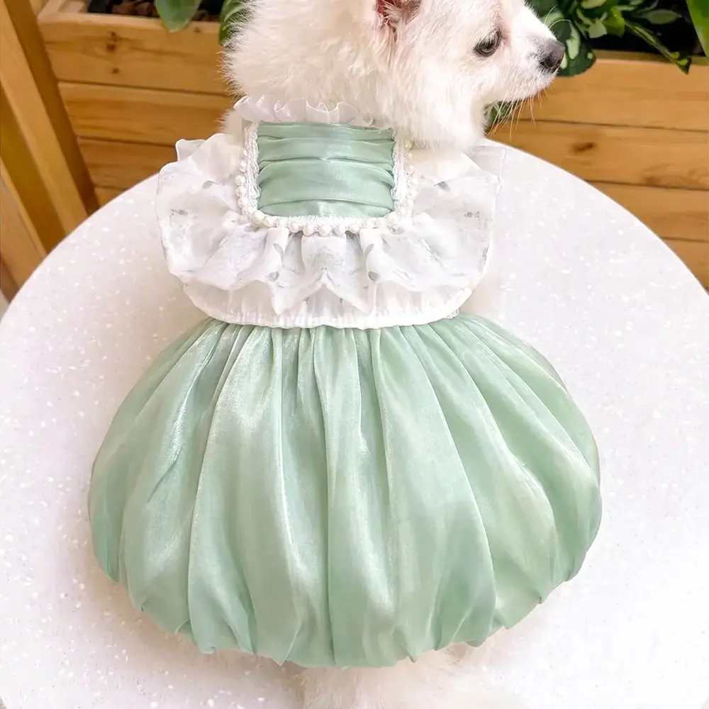 [Pangxigua] Pet Tutu Dress, Light Green Iridescent Lightweight Flow Fabric, Double-Layer Sheer Lace Neck, Multi-Size 1-Piece Small Dog Kitten Wedding Party Gown with Pearl Edge
