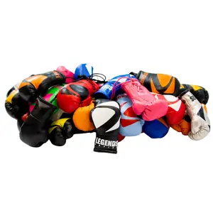 Legends Mini Boxing Gloves