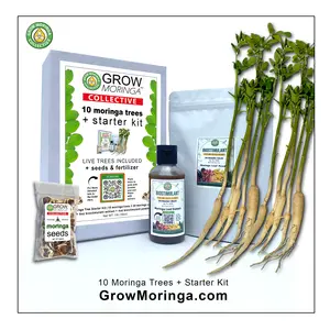 10 moringa trees starter kit