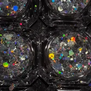 Silver Dollar Makeup Glitter Eyeshadow