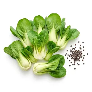 1000 Cream Baby Bok Choy Seeds for Planting - Sweet, Tender & Fast Growing Asian Greens for Home Garden - Heirloom Nai You Bok Choy