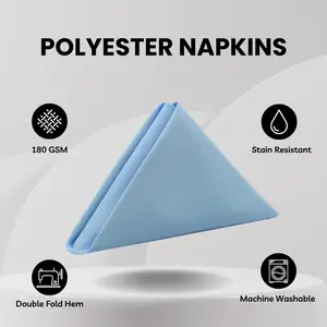 20 inch Polyester Cloth Napkins Light Blue (Pack of 10)