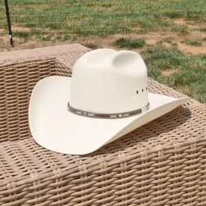 Resistol Straw Cowboy Hat Lambert 10x