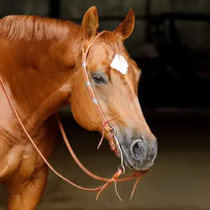 Schneiders Split Ear Silver Show Headstall