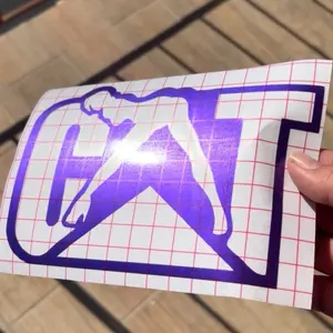 Cat’ Chick Sticker