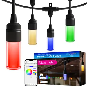 Enbrighten VIBE WiFi Modern Color-Changing LED Cafe Lights, 12 Bulbs, 24ft. Black Cord
