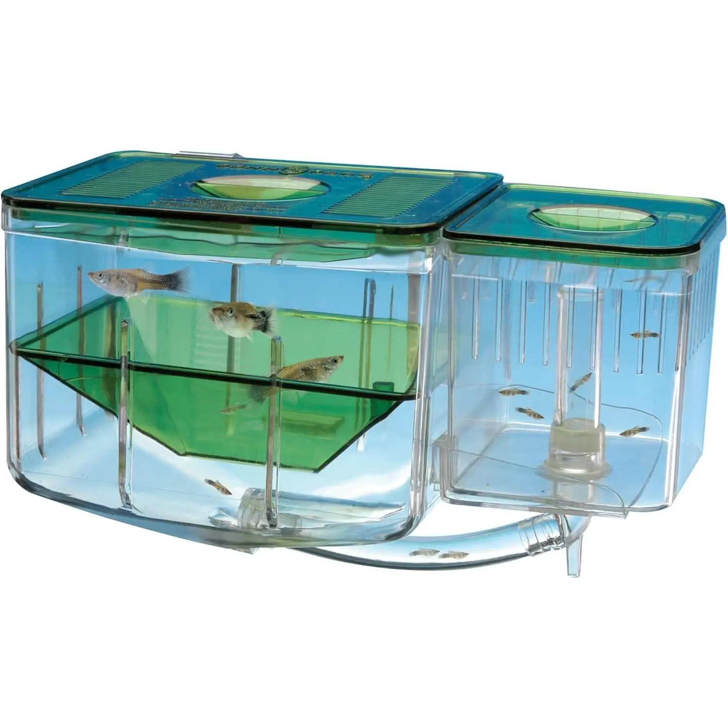 Aqua Nursery & Hatchery Breeding Box for Fish Tanks - 6.5" L X 5.5" W X 4.5" H Aquarium Accessory with Removable Top Covers, Adjustable Hangers, Automatic Circulation, Separates Fry, Protects Baby Fish