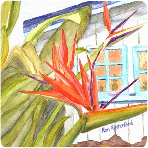212 MAIN Fade-Proof Foam Coasters, 4-Piece Floral Print Set with Bird of Paradise Design, Kitchen Tableware Accessory