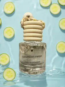 Cucumber melon car diffuser
