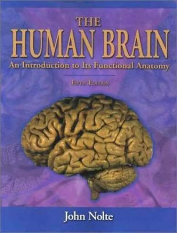 Used Medical Neurotextbook - The Human Brain: An Introduction to Its Functional Anatomy by John Nolte PhD (Paperback, English) - Faculty Resource, 4-Colour Illustrations, Neuroscience, Brain Anatomy, Clinical Educational Supply, Health Care