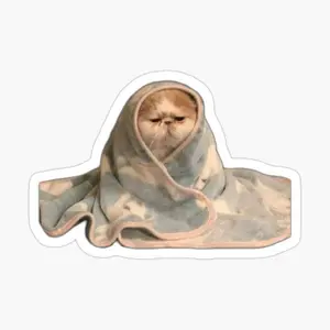 Everyday Mood Expressions Collection Cat Meme Sticker