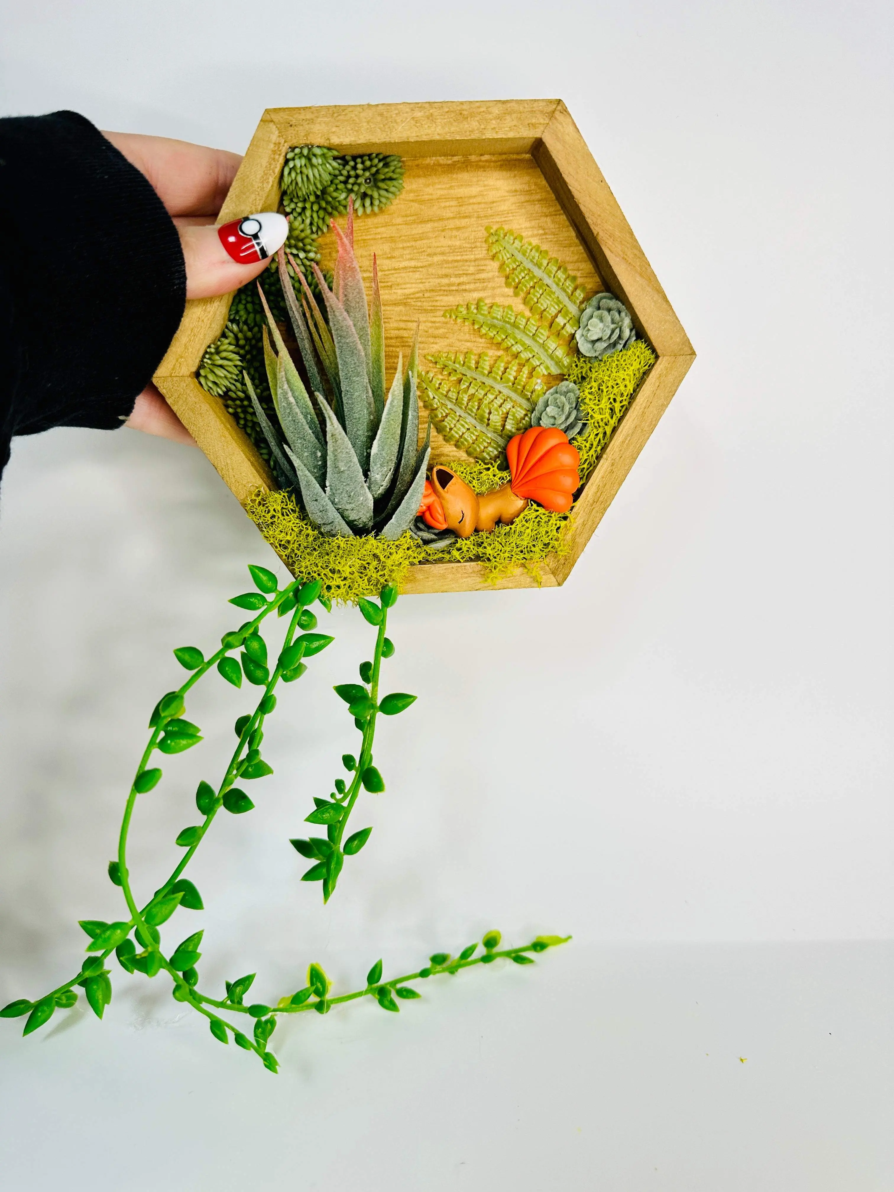 Wall Hangable Hexagon Terrariums