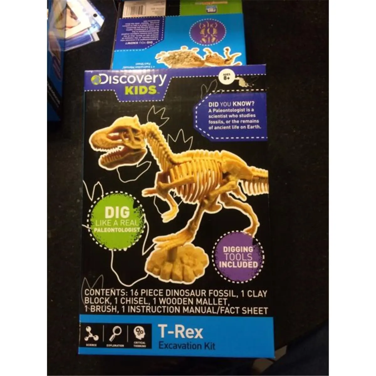 Tedco Toys Small Animal Discovery Dig Excavation Kit - T-Rex Dinosaur Egg, Museum-Quality 3-D Mammoth Skeleton Replica for Discovery Kids, Budding Explorers