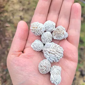 2 randomly selected desert rose pieces