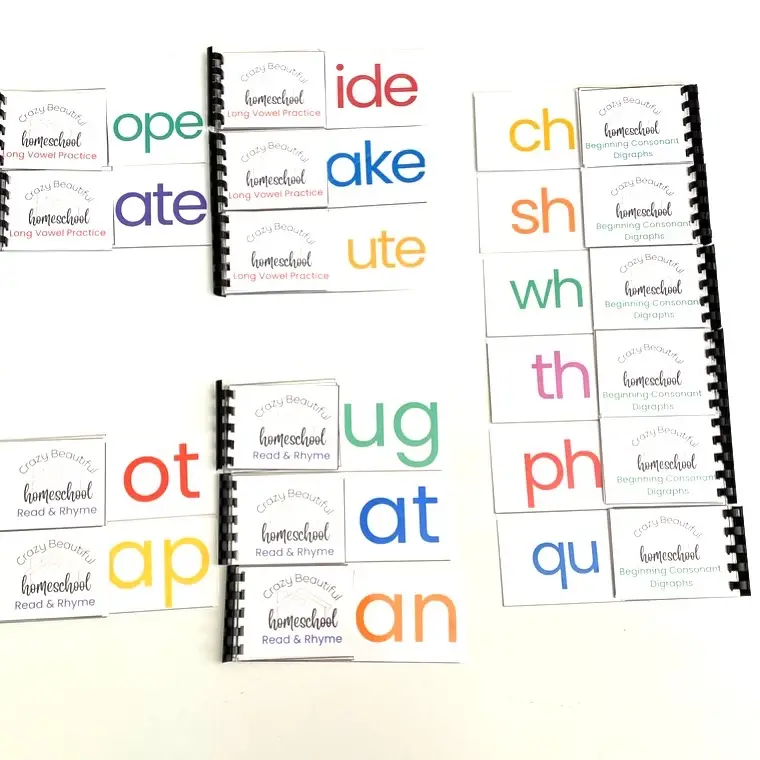 Flip book activity books SET of 16. Short vowel read and rhyme, long vowel and beginning consonant