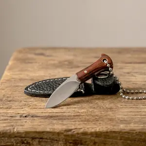 1PC,Mini straight knife, fixed blade knife, pocket knife, sharp and durable, equipped with key ring, small and portable, suitable for home or outdoor use, holiday gift