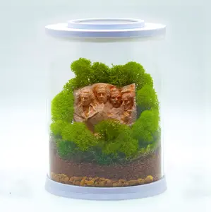 Mt Rushmore Terrarium Kit | MINI