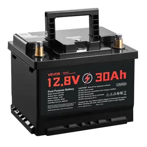 VEVOR 12V 30Ah Dual Purpose LiFePO4 Lithium Battery, 600 CCA Group 47, Car Start-Stop Lithium-ion Starter Battery Plus Deep Cycle, Built-in Smart BMS, for Automotive, Trolling Motor, Engine Starting