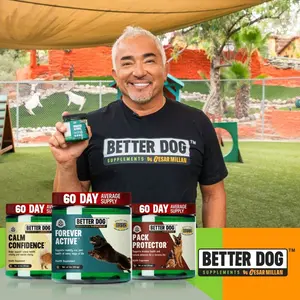 Better Dog Senior™
