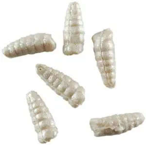 Berkley Gulp! Alive 1/2 inch Waxies 2 oz. Jar