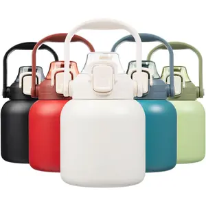 Insulated Water Bottles with Straw, 27 oz Cute Water Bottles with Handle, BPA Free Stainless Steel Metal Jug, Easy Carry Flasks for Men & Women, White