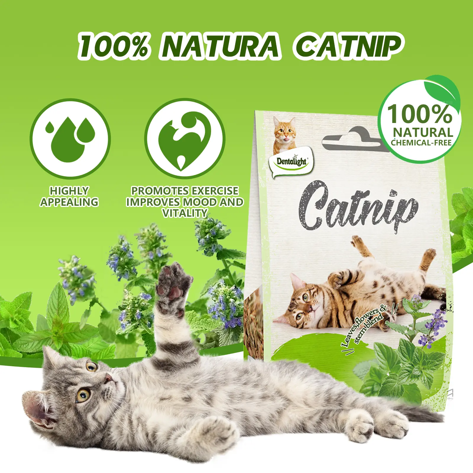 Dentalight - Catnip for Cats & Kittens, Leavest, Flower & Stem Blend, 100% Natura & Chemical Free, Non-Addictive, 15g/Pack, 30g/2 Packs