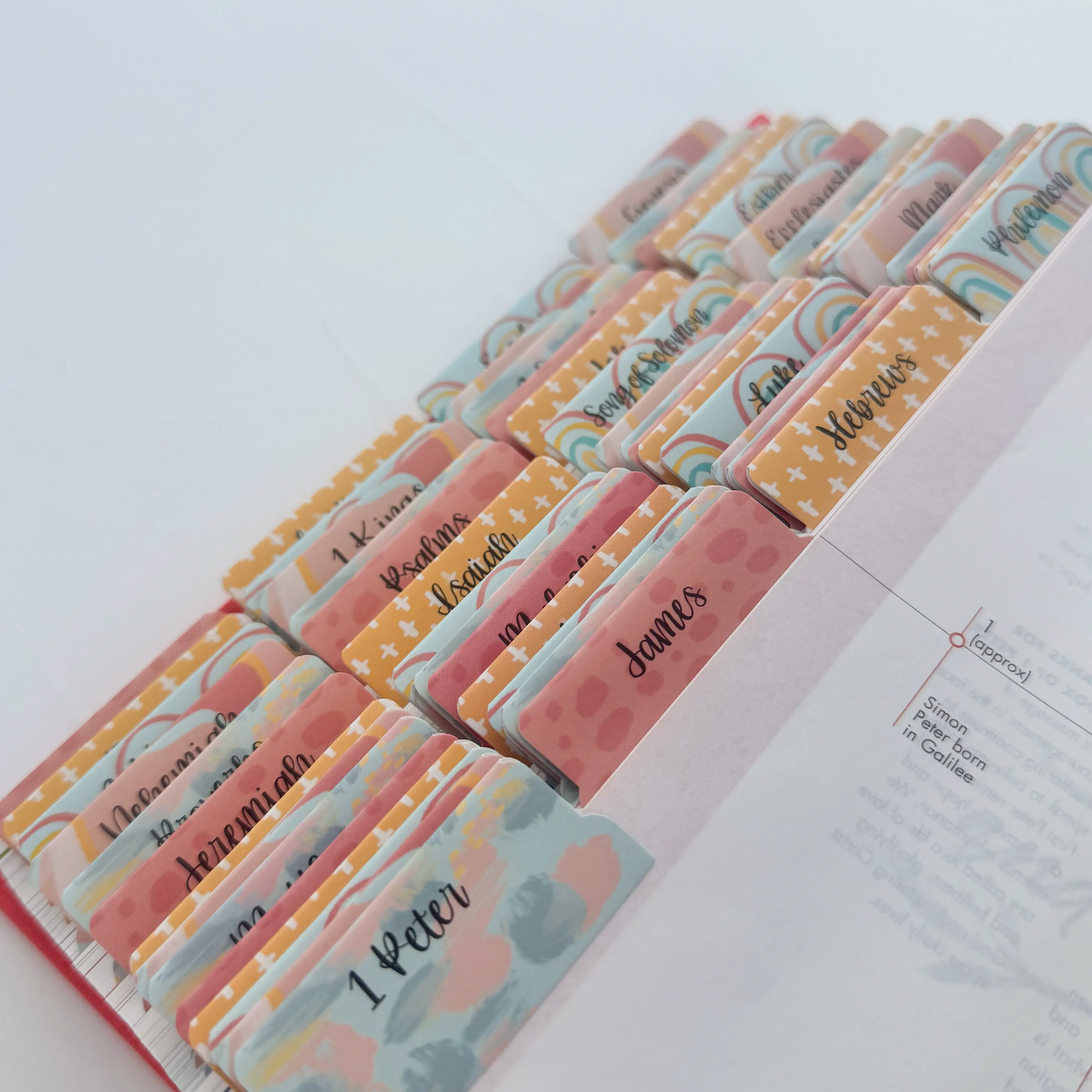 Bible Tabs - bright coral boho 66 Books of the Bible