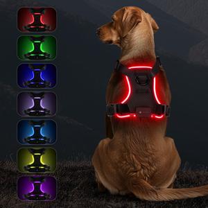 Light Up Dog Harness, Rechargeable LED Dog Vest, Breathable Mesh , Adjustable,Waterproof,Easy On & Off - Great for Walking & Training, Suitable for Small, Medium & Large Dogs, Pet Supplies