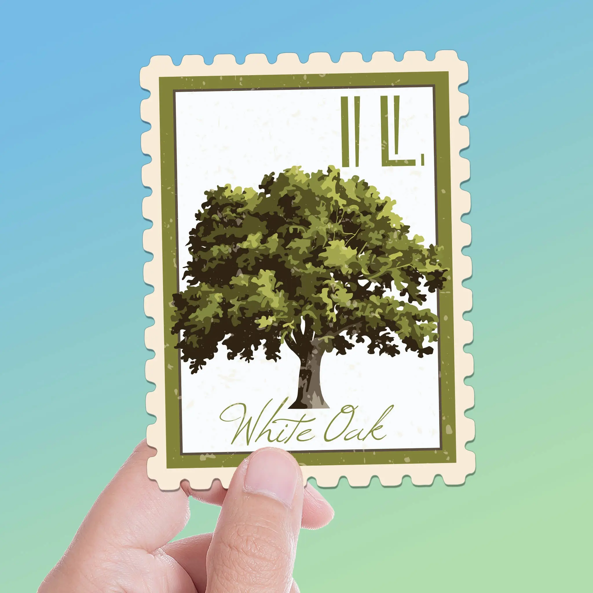 Illinois State Tree White Oak Sticker - IL Vintage Stamp Decal
