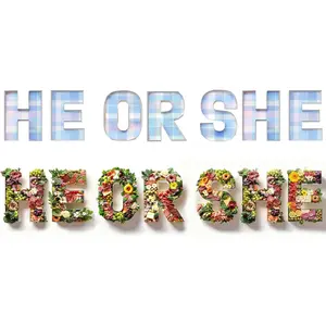 Pop Fizz Designs | Gender Reveal Charcuterie Fillable Letters | He or She