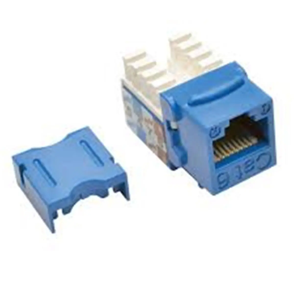 Tripp Lite N238-025-BL UL-Certified RJ45 Female Cat6/Cat5e Punch Down Keystone Jack, Dual-Labeling Feature, Blue