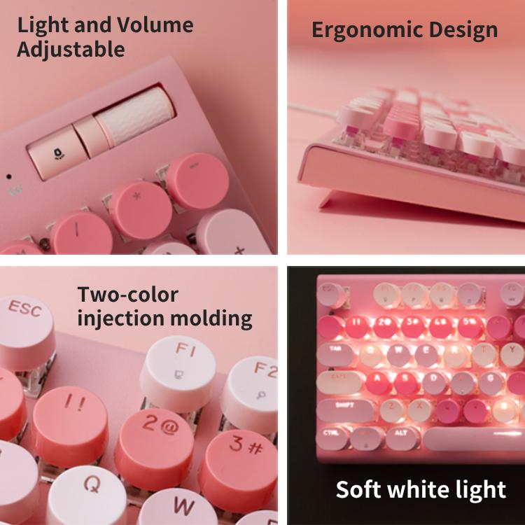 Cute Full Size Wired Keyboard for Girls, White Backlit Typewriter Keyboard with Volume Knob, Light Switch Button and Foldable Stands, Wired Keyboard with Number Pad for Computer PC Laptop