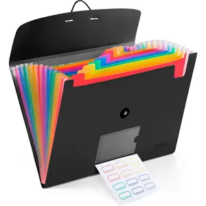 13 Pocket Expanding File Folder Accordian File Organizer A4 Letter Size Paper Document Receipt Holder for School Office Supplies Black