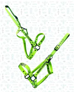 BioThane Horse Sized Halter 1 Inch Beta Biothane Waterproof Fade Resistant Customizable Vinyl Personalized Gifts Barn Life Show Days