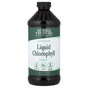 Buried Treasure Liquid Chlorophyll, Spearmint, 16.54 fl oz (496 ml)