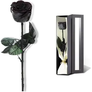 Preserved Rose, Preserved  for Delivery , Single Rose Flower Gifts for Women, Real Rose Gifts for Her, Birthday Gifts, Valentines  for Girlfriend - Black