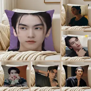 Thai actor B-Boss Chaikamon Sermsongwittaya Pillow Case Pillowcase Anti-dustmite Invisible zipper silky short plush Sofa cushion cover polyester microfiber standard queen king white bed home