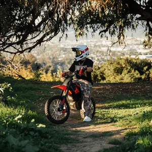 In 10 Pro Ebike for Teens & Adults e bike(Battery & Bike Ship Separately)