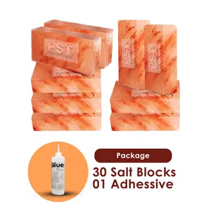 Himalayan Salt Blocks Pack of 30 With 1 Free Adhesive - Salt Blocks For Wall