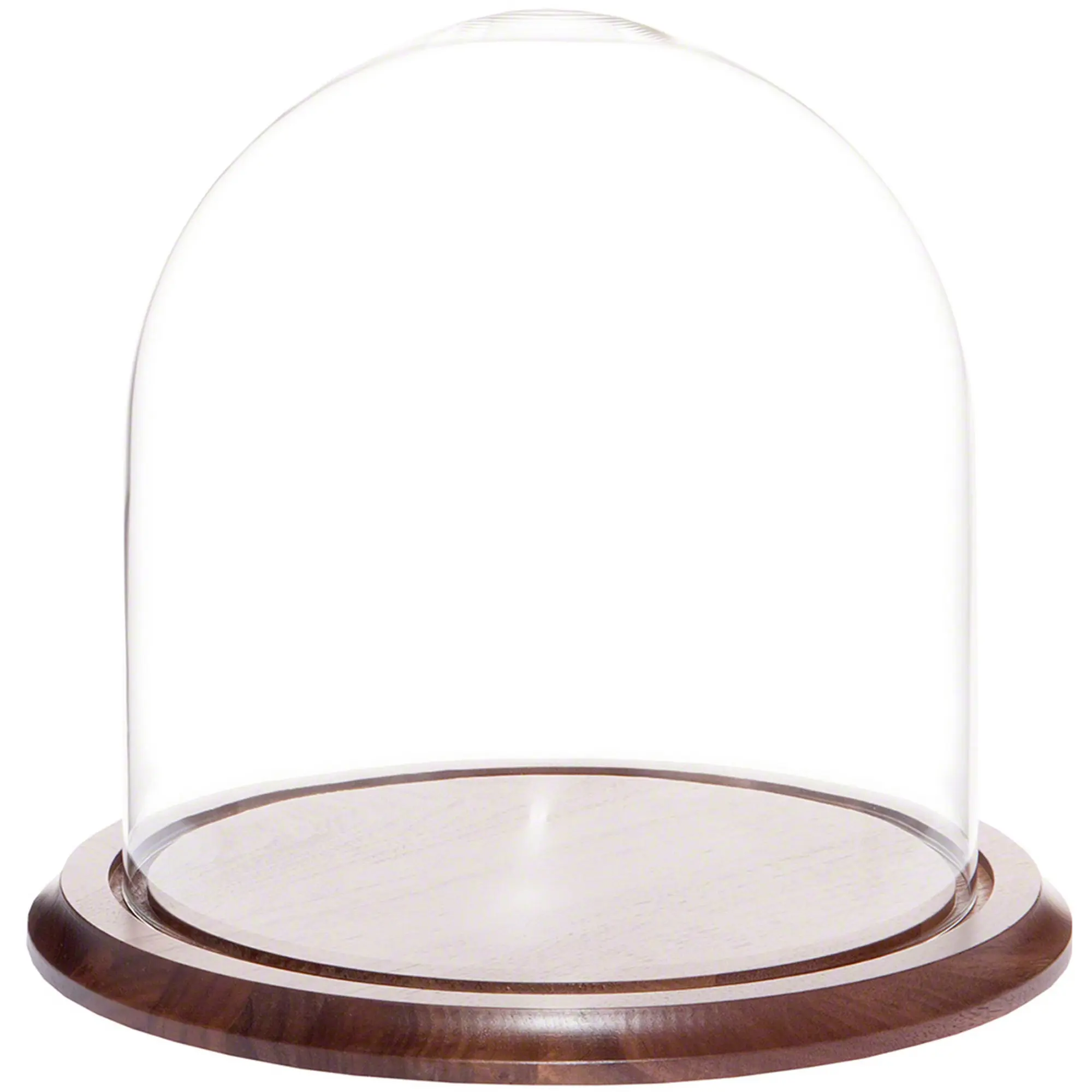 Plymor 9.75" x 10" Glass Display Dome Cloche