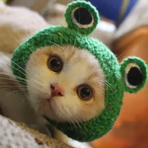 [0008] Handmade Crochet Pet Hat - Cute Knit Headwear for Cats & Small Dogs, Adjustable, Multiple Styles & Colors