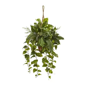 Pothos and Boston Fern in Hanging Basket by Nearly Natural