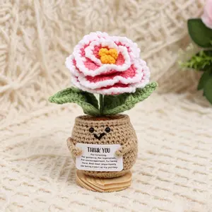 Handmade Crochet Potted Plant, Realistic Peony Forget-Me-Not Everlasting Flower, Perfect Gift for Teachers, Mothers, Family, Festivals, Birthdays