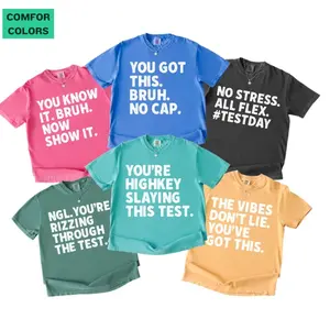 [SALE OFF 50%] Comfort Colors Test Day Tshirt, Matching State Testing Shirts, Teacher Team TShirts, Gen Z School Testing Day Tee, Testing Coordinator Shirt HQ