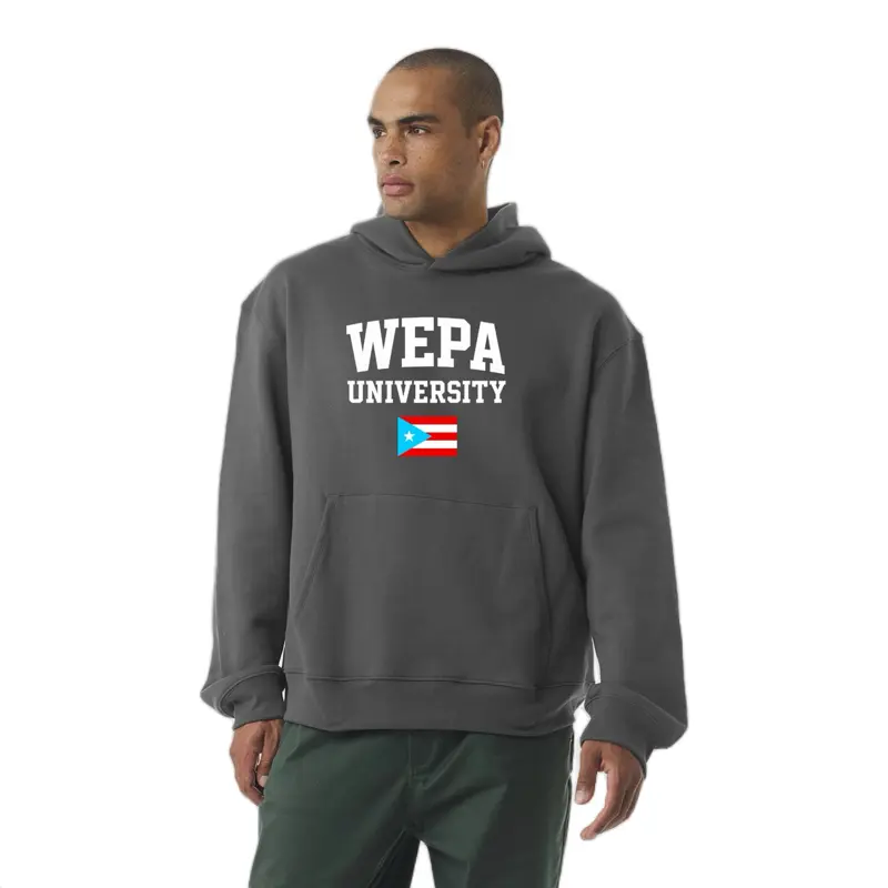 Boricua Heavyweight Hoodie  | Puerto Rico Flag Sweatshirt | Unisex Streetwear | Cozy Y2K Pullover for Puerto Rican Pride